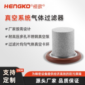 DF系列擴散器專用濾器_316L真空法蘭過濾器_工藝氣體過濾器