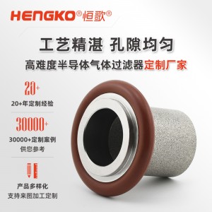 DF系列擴散器專用濾器_316L真空法蘭過濾器_工藝氣體過濾器