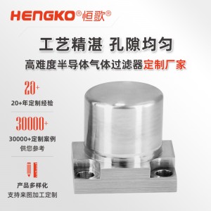 氣體過(guò)濾IGS面板專(zhuān)用過(guò)濾器_半導(dǎo)體潔凈高純氣體過(guò)濾器 兼容多種密封